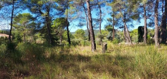 Terrain à bâtir à La Roquebrussanne, Provence-Alpes-Côte d'Azur