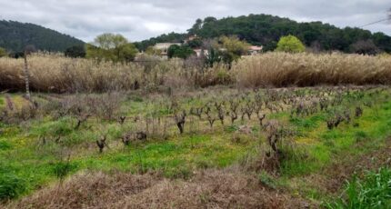 Pierrefeu-du-Var Terrain à bâtir - 1912110-9884annonce320240314CG1EK.jpeg PCA Maisons