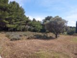 Terrain à bâtir à Sanary-sur-Mer (83110) 1912121-9884annonce3202311014vBEV.jpeg PCA Maisons