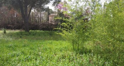 Vidauban Terrain à bâtir - 1938390-10858annonce220240904sQeBJ.jpeg PCA Maisons