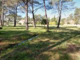 Terrain à bâtir à Puget-sur-Argens (83480) 1939345-10858annonce120240905HiVR1.jpeg PCA Maisons