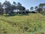 Terrain à bâtir à Puget-sur-Argens (83480) 1939345-10858annonce320240905swTTf.jpeg PCA Maisons