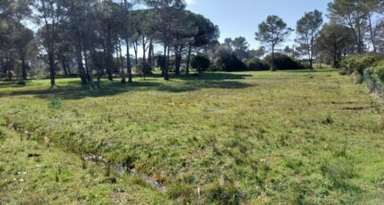 Puget-sur-Argens Maison neuve - 1939347-10858annonce320240905swTTf.jpeg PCA Maisons