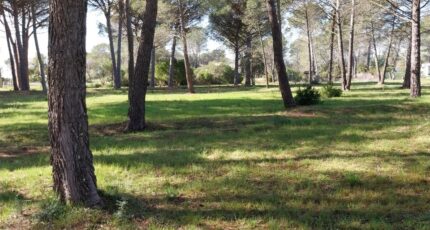 Puget-sur-Argens Maison neuve - 1939347-10858annonce420240905DTeXT.jpeg PCA Maisons