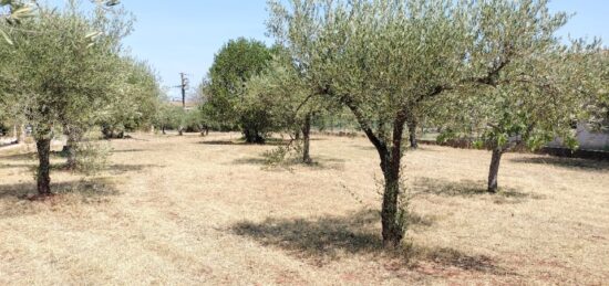 Terrain à bâtir à Gonfaron, Provence-Alpes-Côte d'Azur