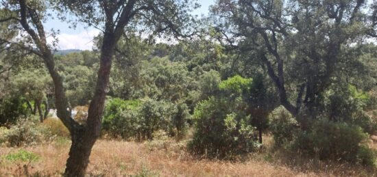 Terrain à bâtir à Saint-Raphaël, Provence-Alpes-Côte d'Azur