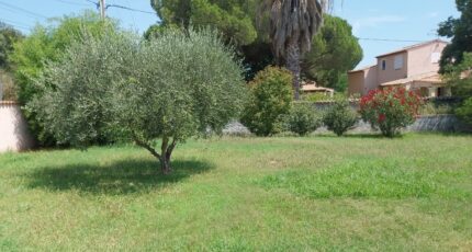 Puget-sur-Argens Maison neuve - 1969767-10858annonce220241007S3WuS.jpeg PCA Maisons