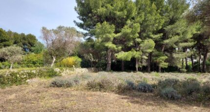 Sanary-sur-Mer Maison neuve - 2004914-9884annonce220231101fT4t1.jpeg PCA Maisons