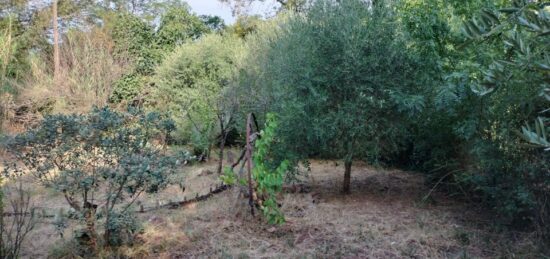 Terrain à bâtir à Le Cannet-des-Maures, Provence-Alpes-Côte d'Azur