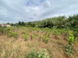 Terrain à bâtir à Pierrefeu-du-Var (83390) 2017556-9886annonce120241203XyiMT.jpeg PCA Maisons