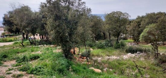 Terrain à bâtir à Bras, Provence-Alpes-Côte d'Azur