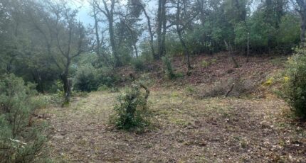 Saint-Maximin-la-Sainte-Baume Maison neuve - 2075565-9879annonce320250210SxXQs.jpeg PCA Maisons