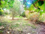 Maison à construire à Carnoules (83660) 2128585-10025annonce620250409vuLKu.jpeg PCA Maisons