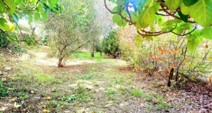 Carnoules Maison neuve - 2128585-10025annonce620250409vuLKu.jpeg PCA Maisons