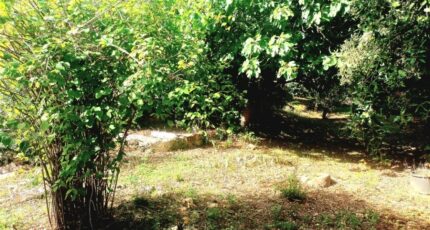 Carnoules Maison neuve - 2128585-10025annonce720250409yHCzr.jpeg PCA Maisons