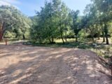 Terrain à bâtir à Les Mayons (83340) 2144838-9891annonce320250430zNSTU.jpeg PCA Maisons
