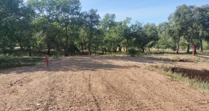 Les Mayons Maison neuve - 2144842-9891annonce920250430p4L4V.jpeg PCA Maisons
