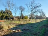 Terrain à bâtir à Le Luc (83340) 2075533-9891annonce120250210fnWPW.jpeg PCA Maisons