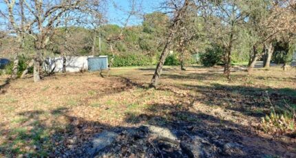 Le Cannet-des-Maures Maison neuve - 2076019-9891annonce620250211ymNGU.jpeg PCA Maisons