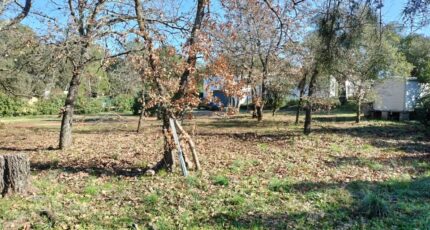 Le Cannet-des-Maures Maison neuve - 2076019-9891annonce620250211xA23r.jpeg PCA Maisons