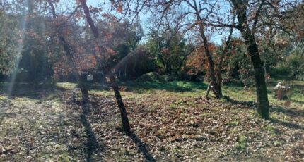Le Cannet-des-Maures Maison neuve - 2076019-9891annonce720250211stf2S.jpeg PCA Maisons