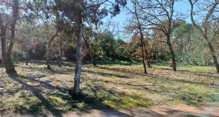 Le Cannet-des-Maures Maison neuve - 2076019-9891annonce820250211lTaNm.jpeg PCA Maisons
