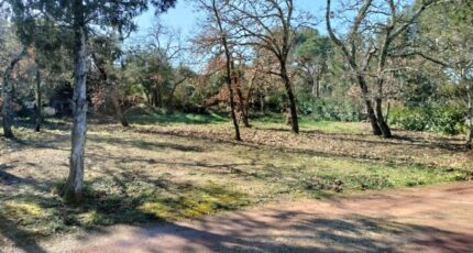 Le Cannet-des-Maures Maison neuve - 2076019-9891annonce920250211PEUER.jpeg PCA Maisons