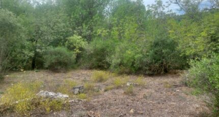 Varages Maison neuve - 2134294-9879annonce220250416xOXRW.jpeg PCA Maisons