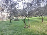 Terrain à bâtir à Draguignan (83300) 2149866-9891annonce22025050676VgF.jpeg PCA Maisons