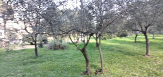 Terrain à bâtir à , Var
