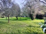 Terrain à bâtir à Draguignan (83300) 2149866-9891annonce32025050635xAf.jpeg PCA Maisons