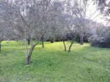 Terrain à bâtir à Draguignan (83300) 2149866-9891annonce420250506yLKC1.jpeg PCA Maisons