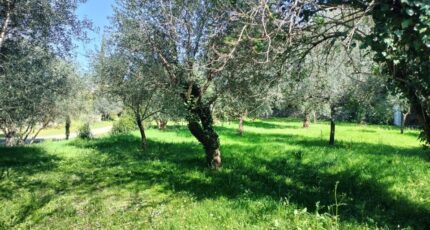 Draguignan Maison neuve - 2149871-9891annonce6202505069TCXu.jpeg PCA Maisons