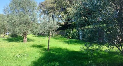 Draguignan Maison neuve - 2149871-9891annonce720250506JxbrX.jpeg PCA Maisons