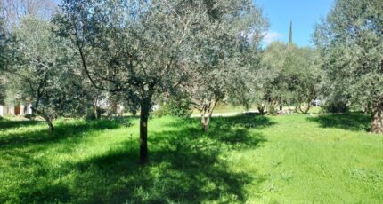 Draguignan Maison neuve - 2149871-9891annonce820250506Z6UfR.jpeg PCA Maisons