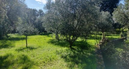 Draguignan Maison neuve - 2149871-9891annonce10202505061VIgv.jpeg PCA Maisons