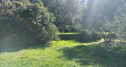 Draguignan Maison neuve - 2149871-9891annonce420250506O3hsw.jpeg PCA Maisons