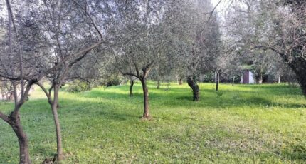 Draguignan Maison neuve - 2149871-9891annonce920250506yD7Hs.jpeg PCA Maisons