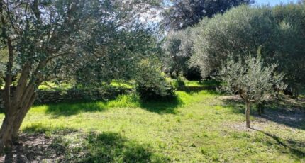 Draguignan Maison neuve - 2149885-9891annonce320250506TPgQG.jpeg PCA Maisons