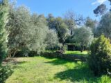 Maison à construire à Draguignan (83300) 2149885-9891annonce620250506Jv7TK.jpeg PCA Maisons