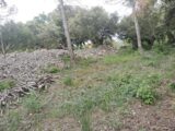 Terrain à bâtir à Flassans-sur-Issole (83340) 2167817-9891annonce1202505239b3GT.jpeg PCA Maisons