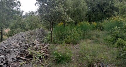 Flassans-sur-Issole Terrain à bâtir - 2167817-9891annonce420250523EqnN5.jpeg PCA Maisons