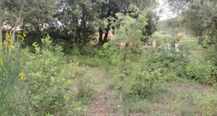 Flassans-sur-Issole Maison neuve - 2167828-9891annonce4202505238qdvi.jpeg PCA Maisons