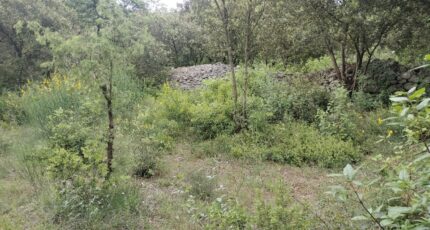 Flassans-sur-Issole Maison neuve - 2167828-9891annonce220250523M8OTm.jpeg PCA Maisons