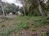 Maison à construire à Flassans-sur-Issole (83340) 2167828-9891annonce620250523iZD2M.jpeg PCA Maisons