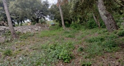 Flassans-sur-Issole Maison neuve - 2167828-9891annonce620250523iZD2M.jpeg PCA Maisons