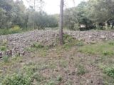 Maison à construire à Flassans-sur-Issole (83340) 2167828-9891annonce720250523CT9JQ.jpeg PCA Maisons
