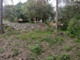 Maison à construire à Flassans-sur-Issole (83340) 2167828-9891annonce820250523AduX1.jpeg PCA Maisons