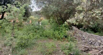 Flassans-sur-Issole Maison neuve - 2167828-9891annonce920250523iE2lD.jpeg PCA Maisons