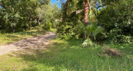 Six-Fours-les-Plages Maison neuve - 2170133-10025annonce420250526k4eBi.jpeg PCA Maisons
